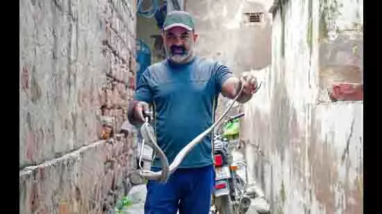 Gurugram का गुमनाम हीरो रोज़ाना 20 वन्यजीव बचाव कॉल्स का देता है जवाब Gurugram का गुमनाम हीरो रोज़ाना 20 वन्यजीव बचाव कॉल्स का देता है जवाब