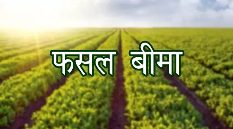 Jaipur: किसानों को मिलेगा प्रधानमंत्री फसल बीमा योजना का लाभ Jaipur: किसानों को मिलेगा प्रधानमंत्री फसल बीमा योजना का लाभ