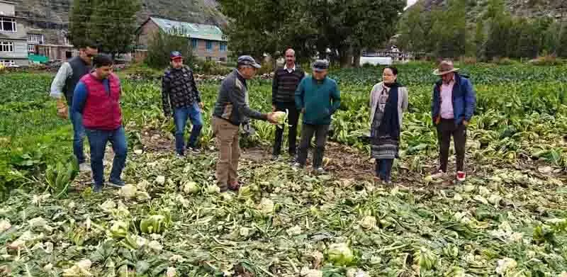 सड़क नाकेबंदी से सब्जियों की आपूर्ति प्रभावित, Himachal के किसानों को नुकसान सड़क नाकेबंदी से सब्जियों की आपूर्ति प्रभावित, Himachal के किसानों को नुकसान