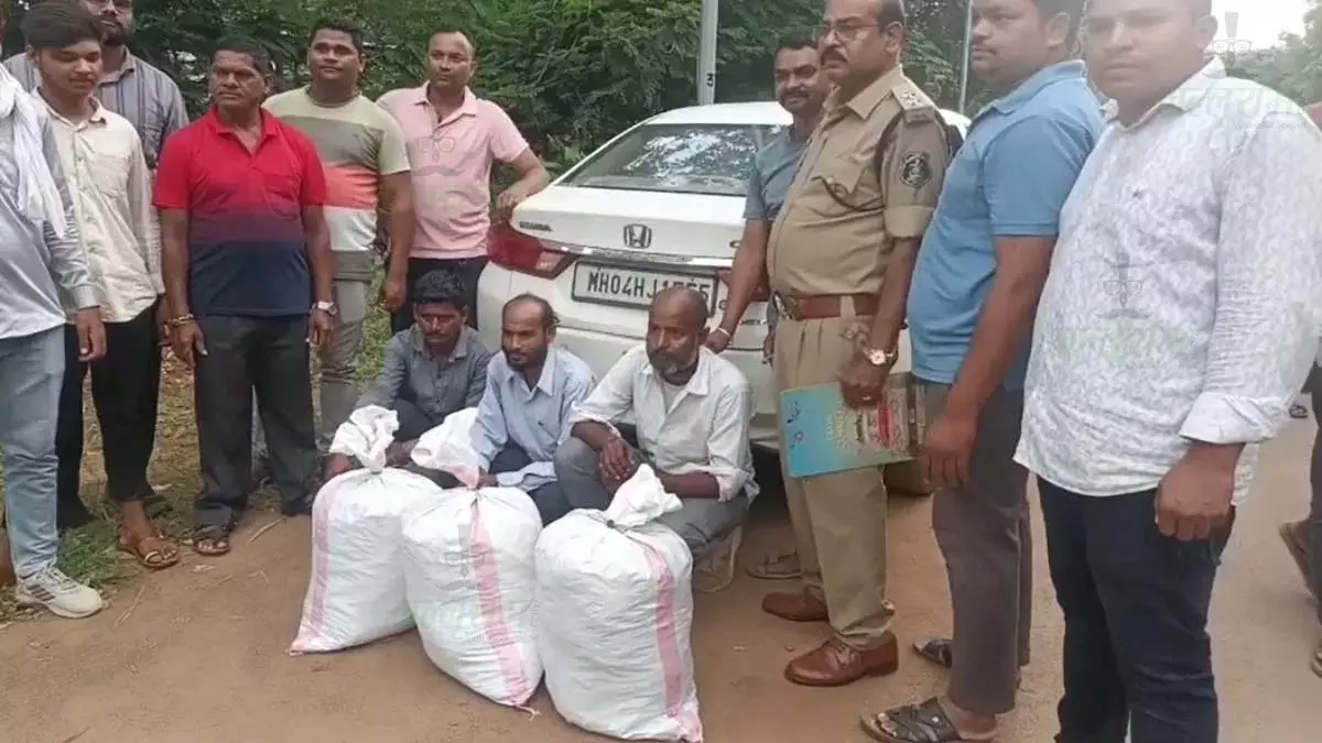 अंतरराज्यीय गांजा तस्करों का भंडाफोड़, 27 किलो गांजा बरामद अंतरराज्यीय गांजा तस्करों का भंडाफोड़, 27 किलो गांजा बरामद