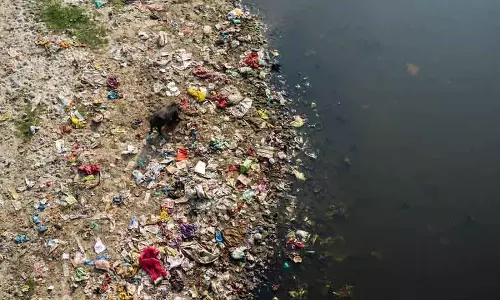 यमुना पुनर्जीवन के लिए सरकार ने तय किया 3 साल का लक्ष्य यमुना पुनर्जीवन के लिए सरकार ने तय किया 3 साल का लक्ष्य