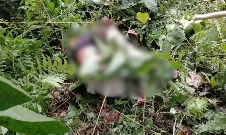 Assam के दुआरमारा अभ्यारण्य में त्रासदी: जंगली हाथी ने ग्रामीणों की जान ली Assam के दुआरमारा अभ्यारण्य में त्रासदी: जंगली हाथी ने ग्रामीणों की जान ली