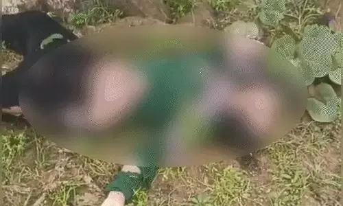 पेड़ में गिरी आसमान से बिजली, दो की मौत