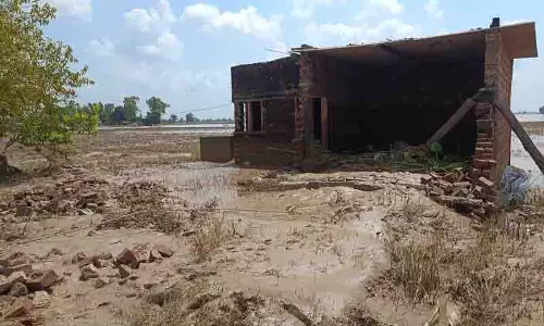 Punjab: केवल 200 लोग बचे, फिरोजपुर गांव अस्तित्व के संकट से जूझ रहा Punjab: केवल 200 लोग बचे, फिरोजपुर गांव अस्तित्व के संकट से जूझ रहा