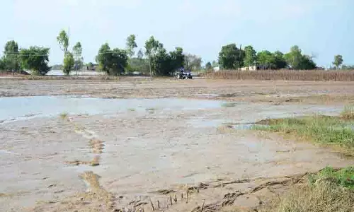 बाढ़ में खेतों के निशान बह गए, गाद से प्रभावित Amritsar के किसानों को नहीं पता कि कहां बोएं