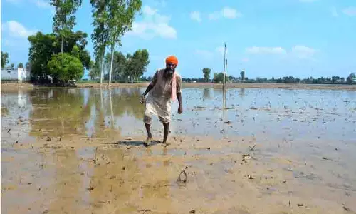 Punjab के किसानों ने गाद हटाने की योजना को लाभहीन बताया, रेत की खराब गुणवत्ता का हवाला दिया Punjab के किसानों ने गाद हटाने की योजना को लाभहीन बताया, रेत की खराब गुणवत्ता का हवाला दिया