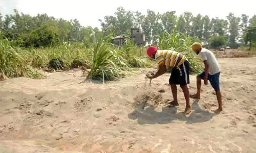 Punjab में गाद हटाने के नियम जारी, डीसी के पास भारी मशीनरी उपलब्ध Punjab में गाद हटाने के नियम जारी, डीसी के पास भारी मशीनरी उपलब्ध