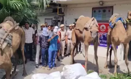 Delhi पुलिस ने जंगल के रास्ते राजधानी में शराब की तस्करी करने वाले गिरोह पर कार्रवाई की Delhi पुलिस ने जंगल के रास्ते राजधानी में शराब की तस्करी करने वाले गिरोह पर कार्रवाई की