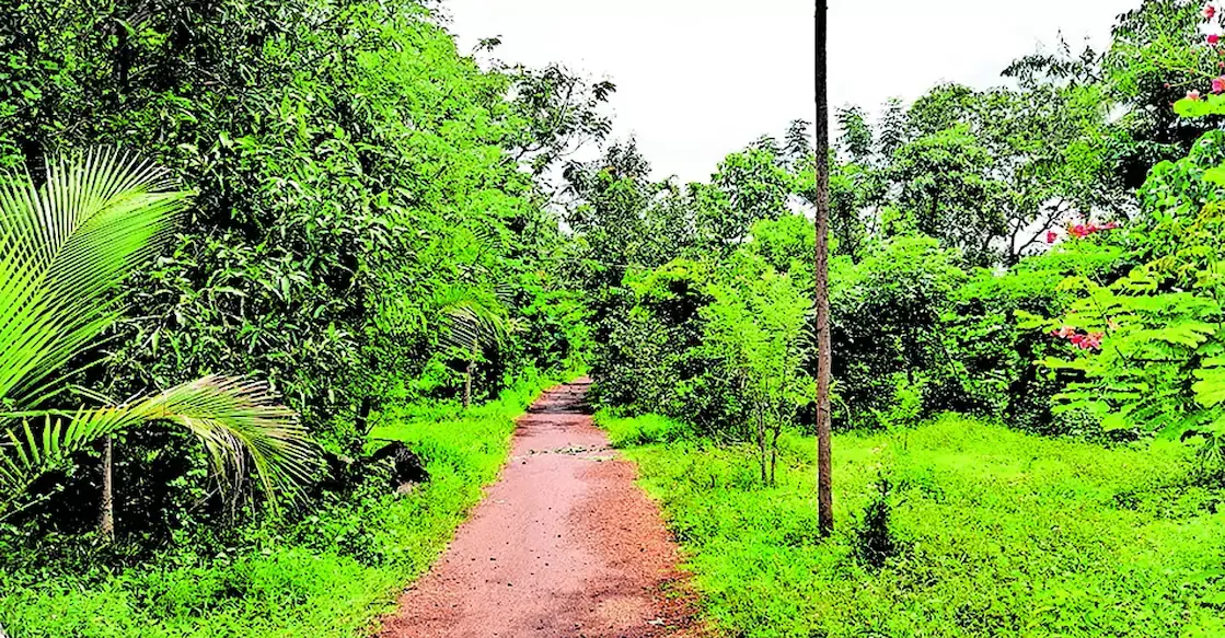 कोट्टायम में कल्लरा यूपी स्कूल ने ग्रीन आइलेट्स के लिए प्रथम पुरस्कार जीता कोट्टायम में कल्लरा यूपी स्कूल ने ग्रीन आइलेट्स के लिए प्रथम पुरस्कार जीता