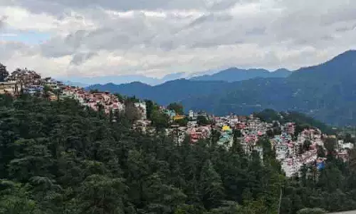 Sanjauli में फोटोग्राफी ऑडिशन में छात्रों ने कैद किया प्रकृति का सार