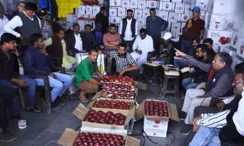 Himachal की सड़कें बुरी तरह क्षतिग्रस्त, फिर भी 1.57 करोड़ सेब की पेटियां बिकीं