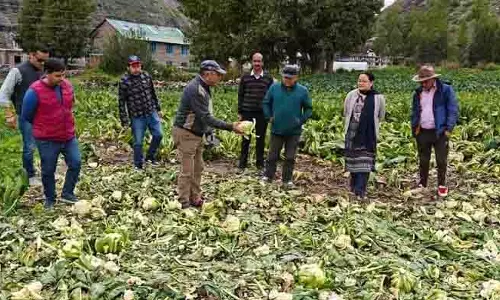 सड़क नाकेबंदी से सब्जियों की आपूर्ति प्रभावित, Himachal के किसानों को नुकसान