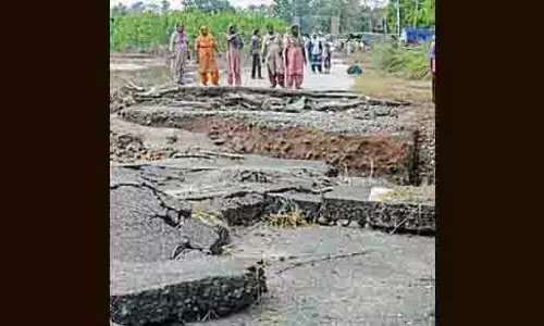 Punjab: बाढ़ के बाद 13 नगर निगमों में लगभग 800 घर और 43 दुकानें क्षतिग्रस्त