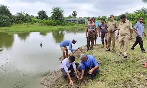 जिला वन विभाग ने समुद्र तट कटाव को रोकने के लिए पहल शुरू की