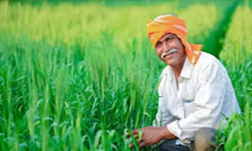 महबूबाबाद में किसान ने की पेस्टिसाइड सेवन कर आत्महत्या की कोशिश महबूबाबाद में किसान ने की पेस्टिसाइड सेवन कर आत्महत्या की कोशिश