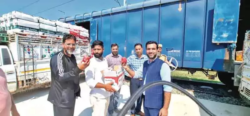 कश्मीरी सेबों की बिक्री में तेजी कश्मीरी सेबों की बिक्री में तेजी