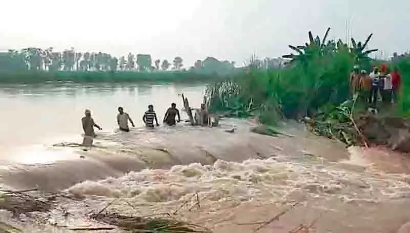 बाढ़ प्रभावित Kapurthala के किसानों ने कहा कि इस बार हमारे लिए कोई त्यौहारी खुशी नहीं होगी बाढ़ प्रभावित Kapurthala के किसानों ने कहा कि इस बार हमारे लिए कोई त्यौहारी खुशी नहीं होगी