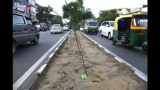 पीडब्ल्यूडी ने सड़कों पर बागवानी कार्य के रखरखाव के लिए SOP जारी किए पीडब्ल्यूडी ने सड़कों पर बागवानी कार्य के रखरखाव के लिए SOP जारी किए