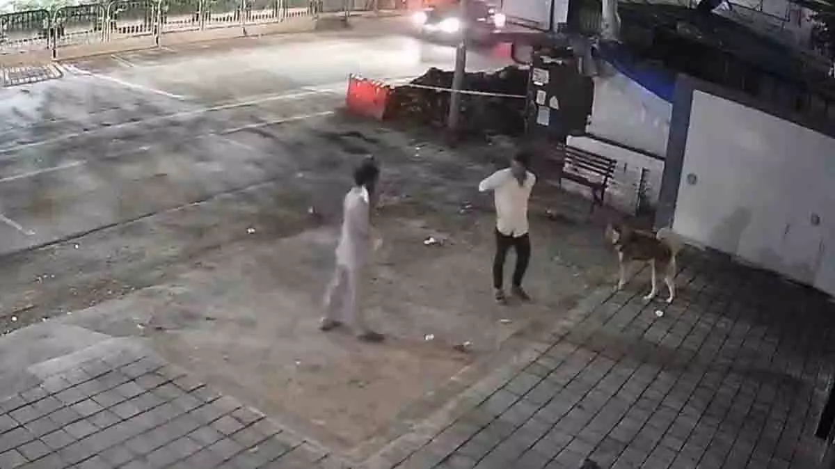 Pune: पिंपरी-चिंचवाड़ के अकुर्दी में बेरहमी से पिटाई के बाद कुत्ते की हत्या Pune: पिंपरी-चिंचवाड़ के अकुर्दी में बेरहमी से पिटाई के बाद कुत्ते की हत्या
