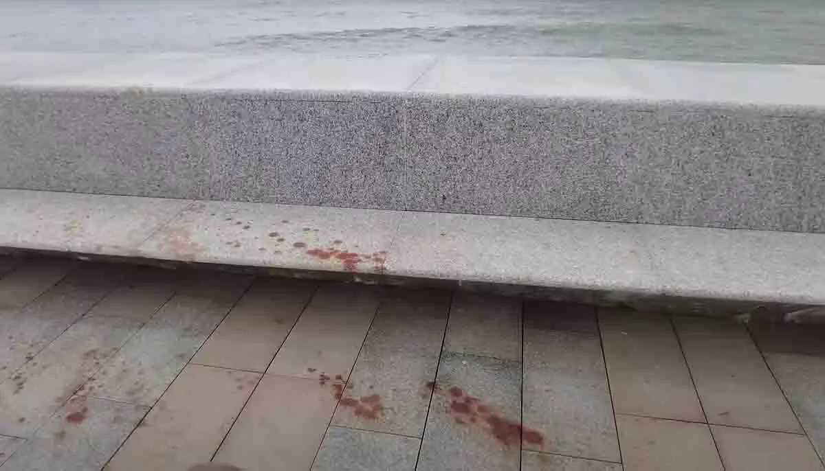 Mumbai: नई कोस्टल रोड गंदी हो रही, पर्यावरण के लिए खतरा बढ़ा Mumbai: नई कोस्टल रोड गंदी हो रही, पर्यावरण के लिए खतरा बढ़ा