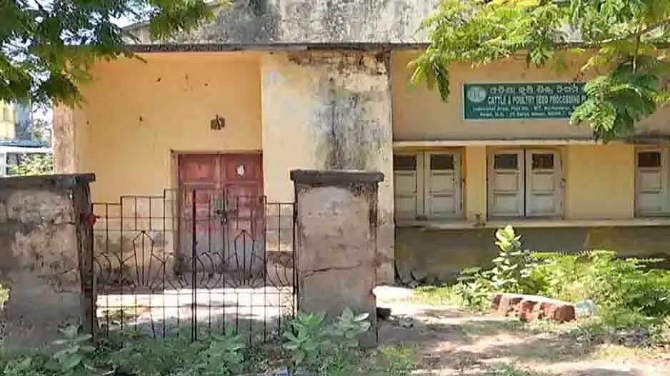 Odisha: खाली पड़ी इंडस्ट्रियल लैंड पर नई योजना तैयार Odisha: खाली पड़ी इंडस्ट्रियल लैंड पर नई योजना तैयार