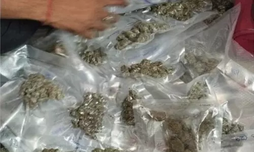 26 करोड़ के मादक पदार्थ जब्त किए, मास्टरमाइंड समेत 10 गिरफ्तार