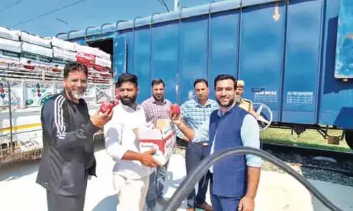 कश्मीरी सेबों की बिक्री में तेजी कश्मीरी सेबों की बिक्री में तेजी
