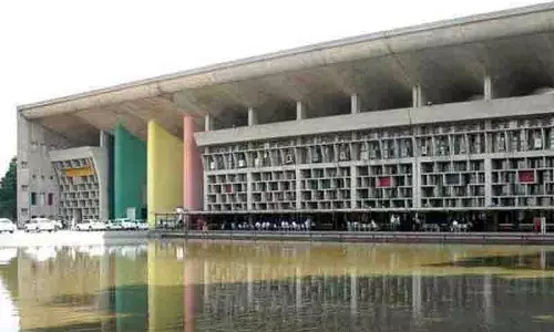 गवाहों के पक्षद्रोही होने पर गिरफ्तारी से पहले जमानत का कोई आधार नहीं: HC