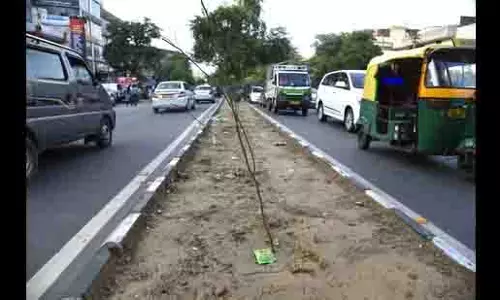 पीडब्ल्यूडी ने सड़कों पर बागवानी कार्य के रखरखाव के लिए SOP जारी किए
