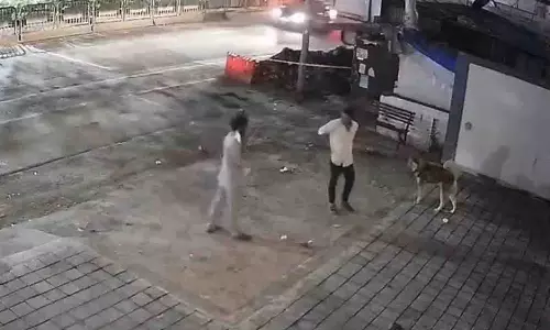 Pune: पिंपरी-चिंचवाड़ के अकुर्दी में बेरहमी से पिटाई के बाद कुत्ते की हत्या