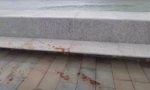 Mumbai: नई कोस्टल रोड गंदी हो रही, पर्यावरण के लिए खतरा बढ़ा Mumbai: नई कोस्टल रोड गंदी हो रही, पर्यावरण के लिए खतरा बढ़ा