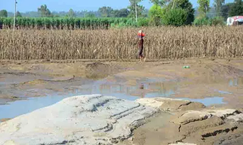 Kapurthala के बाढ़ प्रभावित इलाकों में विशेष गिरदावरी शुरू