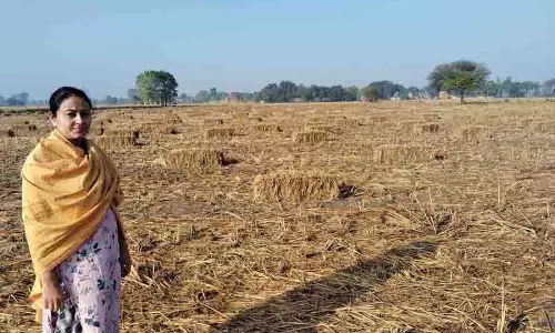 प्रकृति के प्रति उनके प्रेम ने Amargarh में हरित कृषि पद्धति अपनाने के लिए प्रेरित किया प्रकृति के प्रति उनके प्रेम ने Amargarh में हरित कृषि पद्धति अपनाने के लिए प्रेरित किया