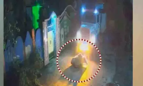 Jajpur: ट्रक चालक ने जानबूझकर गाय को कुचला Jajpur: ट्रक चालक ने जानबूझकर गाय को कुचला
