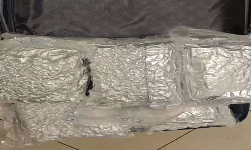 हवाई अड्डे पर 39 किलोग्राम से अधिक हाइड्रोपोनिक खरपतवार जब्त, तीन गिरफ्तार