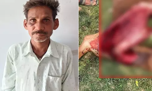 CG BREAKING: जिंदा गाय के बछड़े को काटने वाला आरोपी गिरफ्तार