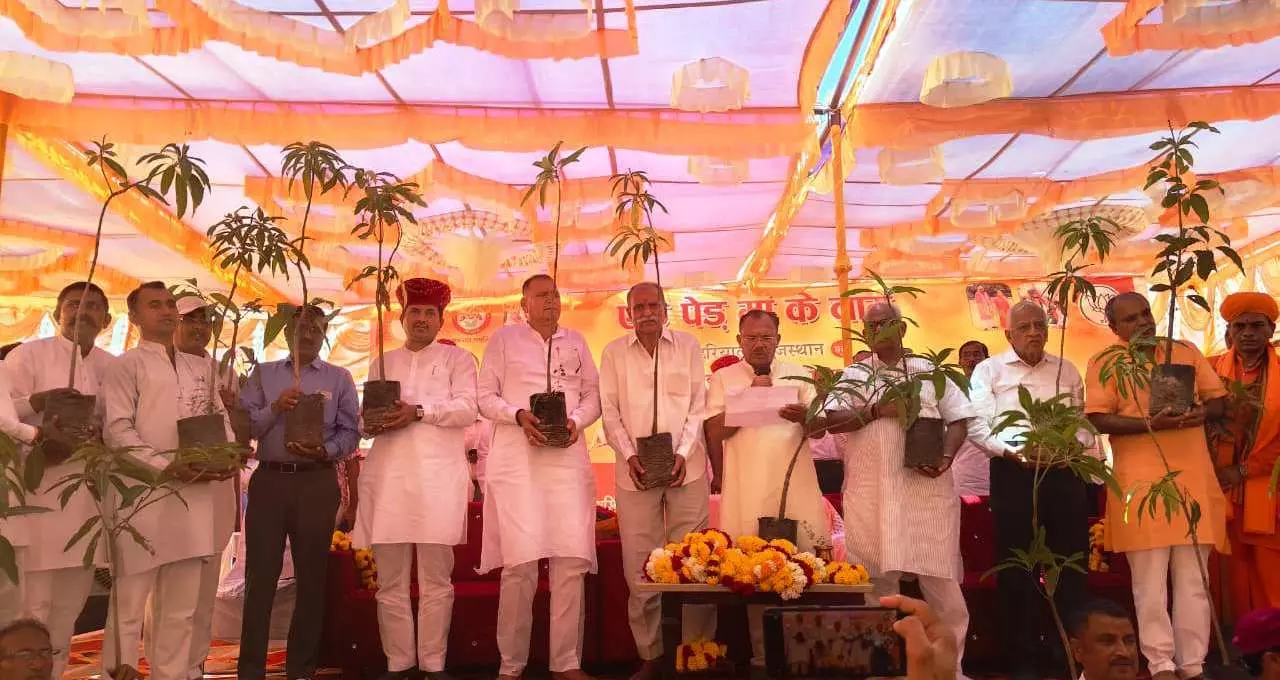 Jaipur: सांचौर में हरियालो राजस्थान अभियान के तहत वृक्षारोपण कार्यक्रम Jaipur: सांचौर में हरियालो राजस्थान अभियान के तहत वृक्षारोपण कार्यक्रम