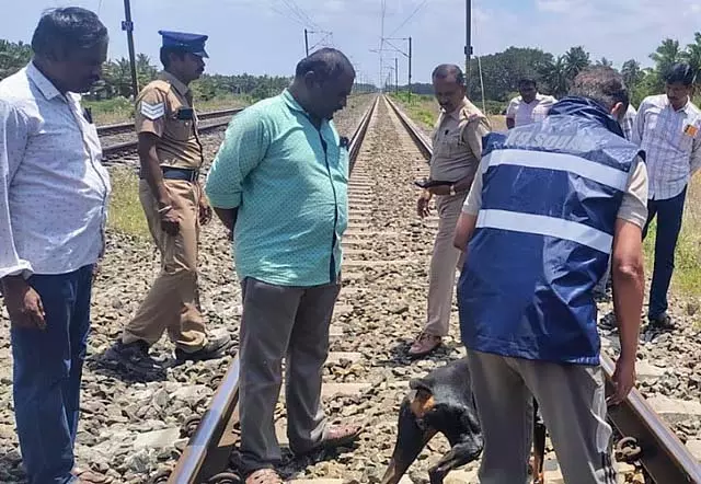 कोयंबटूर रेलवे ट्रैक पर बच्चे का शव मिला: पुलिस मानव बलि के संदेह की जांच कर रही कोयंबटूर रेलवे ट्रैक पर बच्चे का शव मिला: पुलिस मानव बलि के संदेह की जांच कर रही