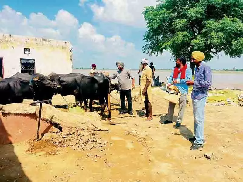 सरकारी विभागों ने Punjab भर में सफाई अभियान शुरू किया सरकारी विभागों ने Punjab भर में सफाई अभियान शुरू किया