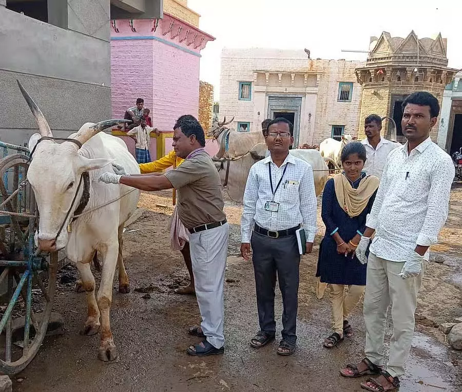 Yadgir : कृषि प्रधान जिले में डॉक्टरों की कमी मुख्य समस्या Yadgir : कृषि प्रधान जिले में डॉक्टरों की कमी मुख्य समस्या