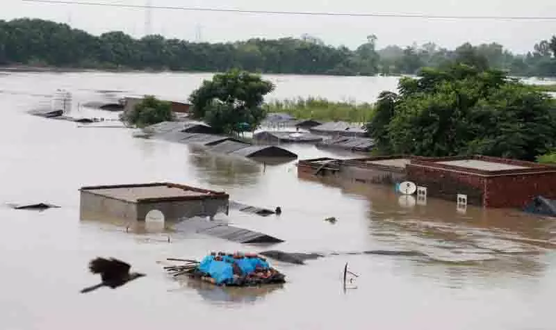 Jalandhar: इस बार किसान निराशाजनक त्यौहारी सीजन के लिए तैयार Jalandhar: इस बार किसान निराशाजनक त्यौहारी सीजन के लिए तैयार
