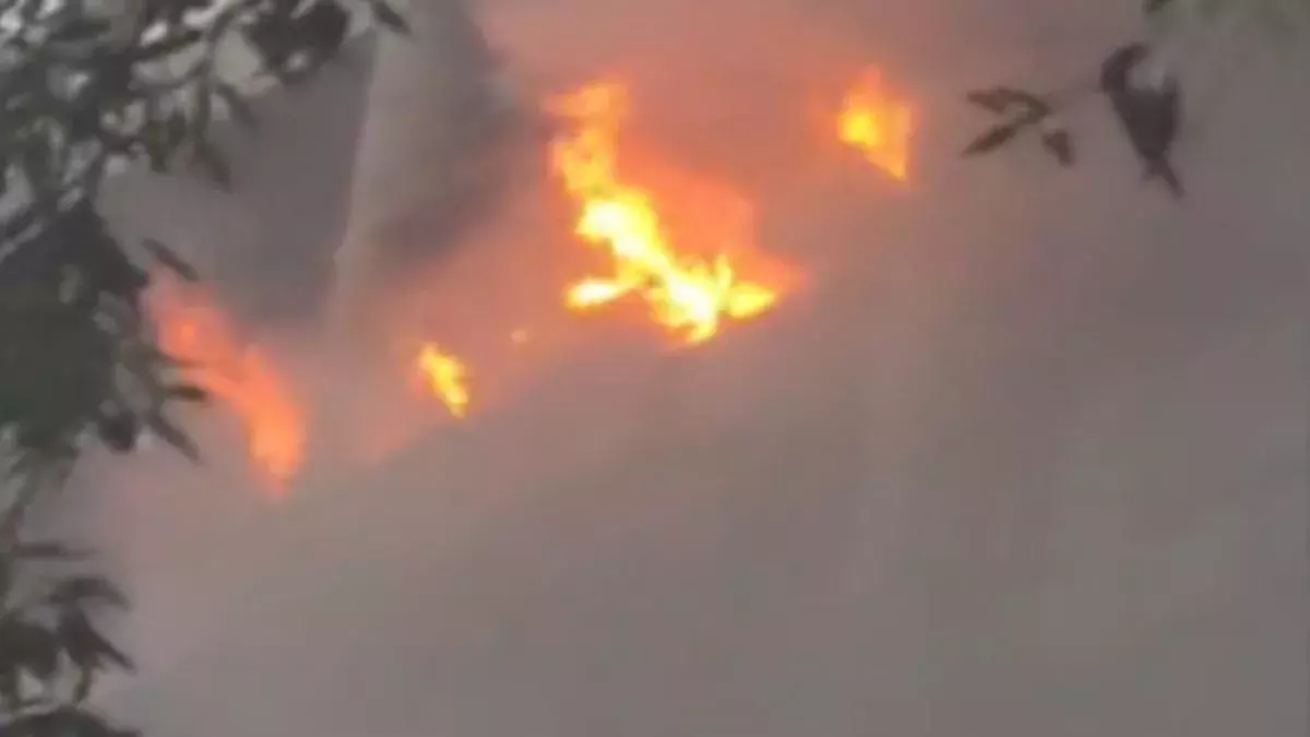 Araria के स्वास्थ्य केंद्र में आग से हड़कंप Araria के स्वास्थ्य केंद्र में आग से हड़कंप