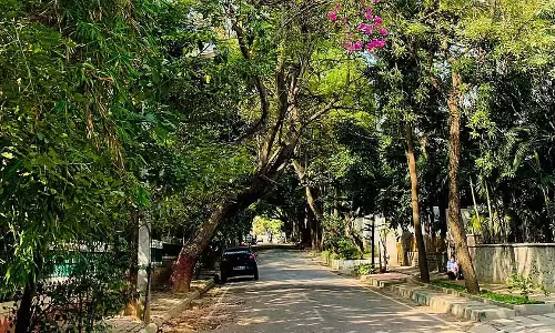 पेड़ों की निगरानी के लिए वृक्ष निरीक्षकों की नियुक्ति: GBA वन विभाग द्वारा की गई कार्रवाई