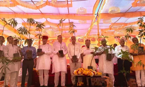 Jaipur: सांचौर में हरियालो राजस्थान अभियान के तहत वृक्षारोपण कार्यक्रम