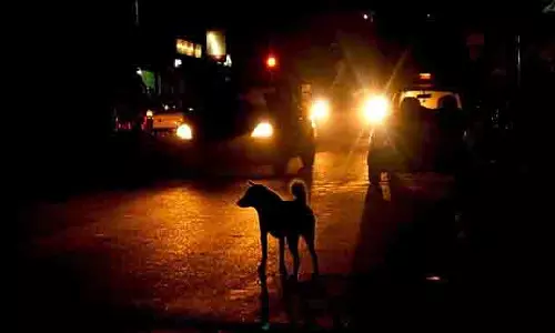 Bengaluru: घायल कुत्ते की मदद कर रही महिला से दो बार छेड़छाड़
