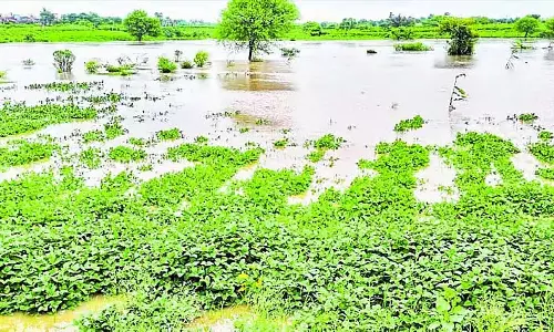 Bidar : एक घंटे से अधिक समय तक भारी बारिश Bidar : एक घंटे से अधिक समय तक भारी बारिश