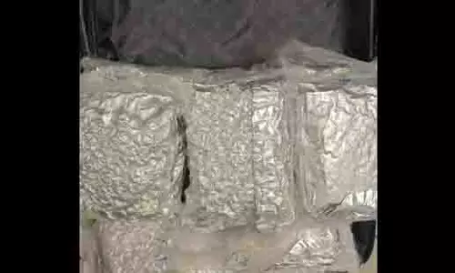 MUMBAI: बैंकॉक से गांजा लेकर आए दो आरोपी गिरफ्तार