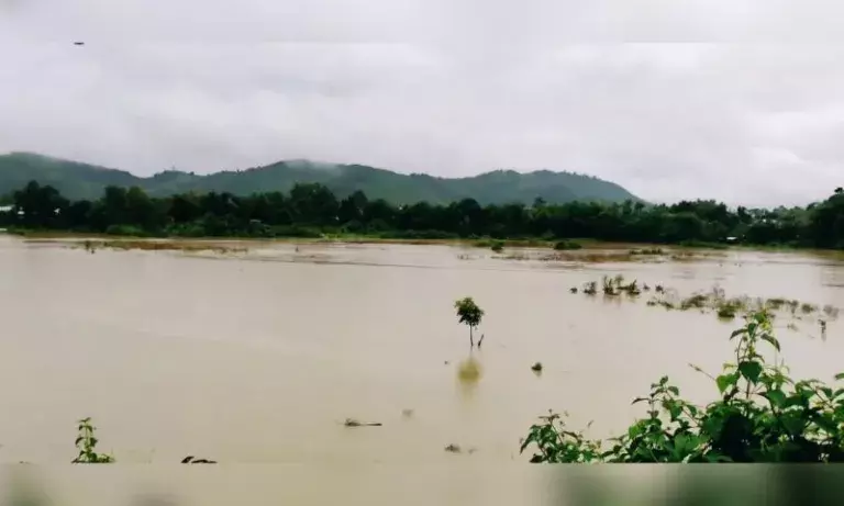 Monsoon में मानसून की बाढ़ ने मचाई तबाही, नदियों के तटबंध टूटे