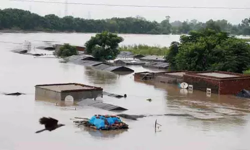 Jalandhar: इस बार किसान निराशाजनक त्यौहारी सीजन के लिए तैयार