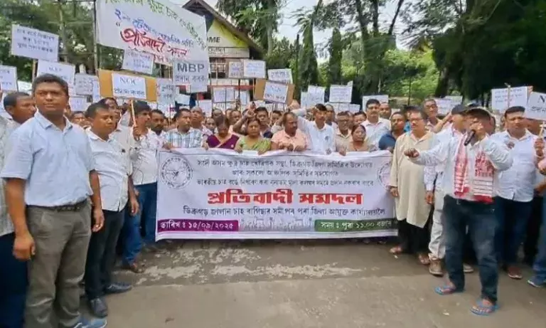 Assam: छोटे चाय उत्पादकों ने हरी चाय की कीमतों में गिरावट का विरोध किया